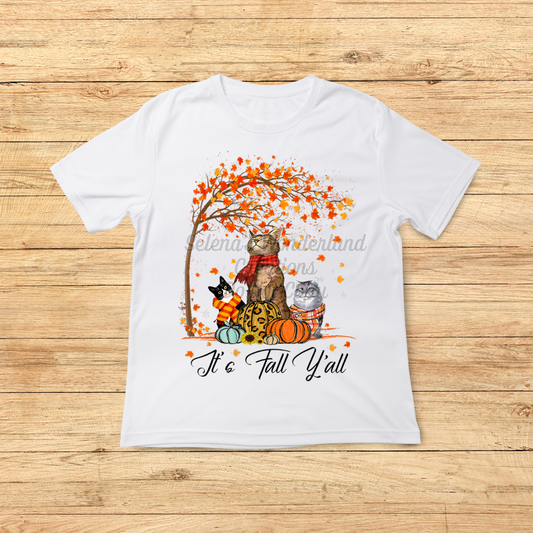 FALL 24